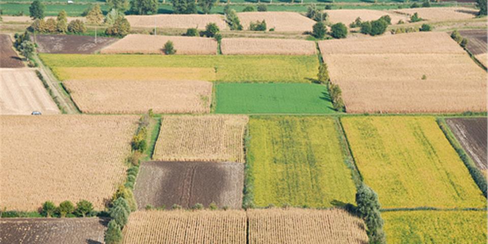 LA PRELAZIONE NELLA VENDITA DEI TERRENI AGRICOLI